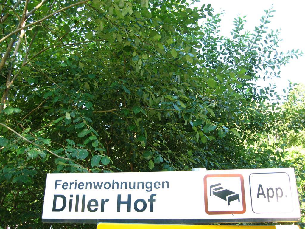 Dillerhof Apartment Laion Bagian luar foto